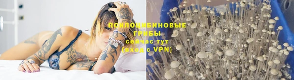 тгк Кинешма