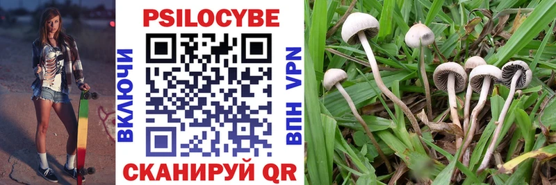 Купить закладки  Петушки  Псилоцибиновые грибы прущие грибы 